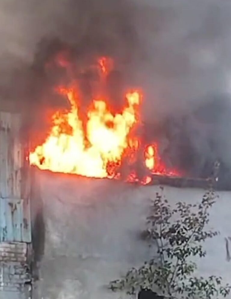 WhatsApp Image 2025-11-05 at 8.48.29 PM