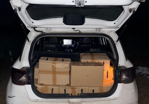 Picsart_26-01-31_16-29-28-825